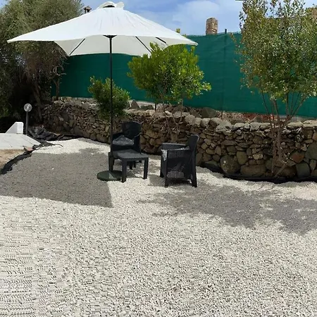 Oleandri Rossi * Tanaunella